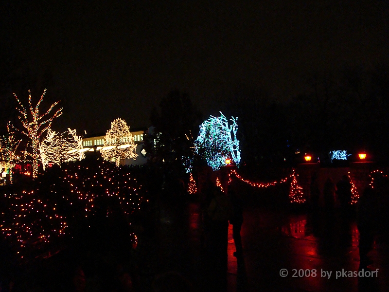 106 Toledo Zoo Light Show [2008 Dec 27].JPG - Scenes from the Toledo Zoo Light Show.